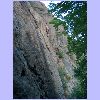 Anticaprie_Sera 015.jpg